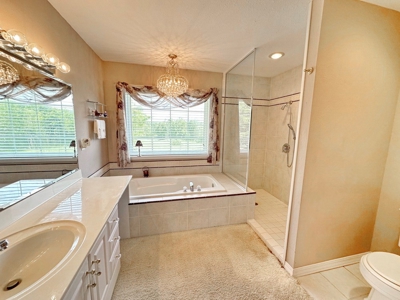 St. Clair County Missouri County Home and Land for Sale - image 29