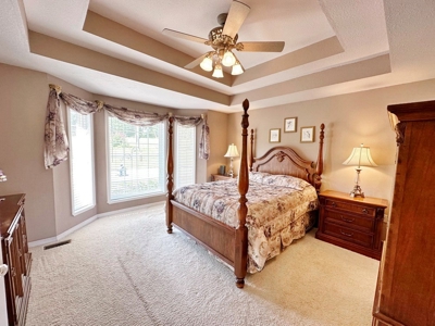 St. Clair County Missouri County Home and Land for Sale - image 27