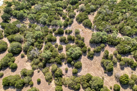 13.08 Acres for Sale –966 PR 4212, Evant, Texas 76525 - image 10