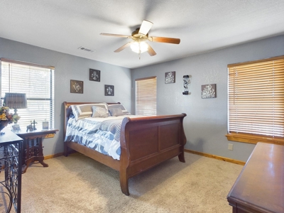 Welcome to the Equine Ranch of your dreams - image 41