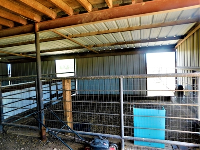 Welcome to the Equine Ranch of your dreams - image 15