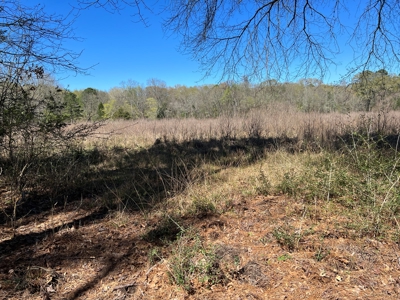 Timberland Near Tenaha Texas - image 18