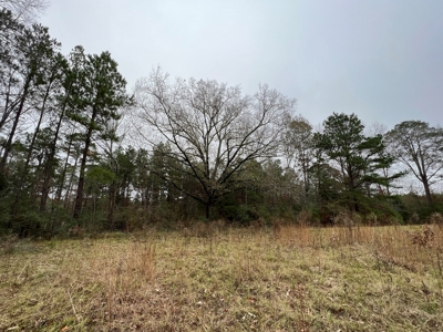 Timberland Near Tenaha Texas - image 16