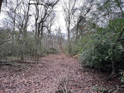 Timberland Near Tenaha Texas - image 14