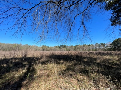 Timberland Near Tenaha Texas - image 20