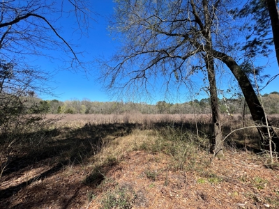 Timberland Near Tenaha Texas - image 19