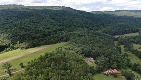 Wooded Land for Sale in Montgomery County VA - image 13