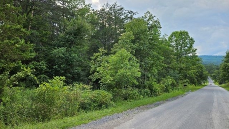 Wooded Land for Sale in Montgomery County VA - image 10