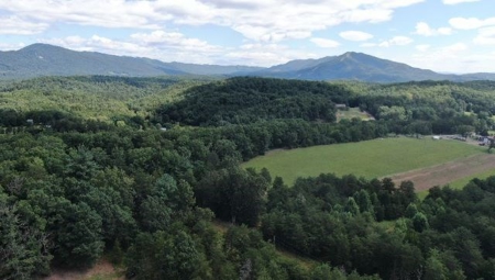 Wooded Land for Sale in Montgomery County VA - image 21