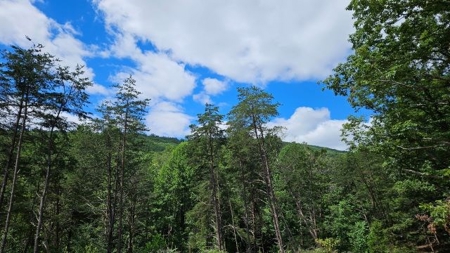 Wooded Land for Sale in Montgomery County VA - image 28