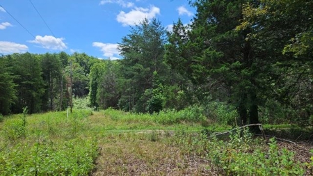 Wooded Land for Sale in Montgomery County VA - image 29