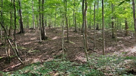 Wooded Land for Sale in Montgomery County VA - image 8