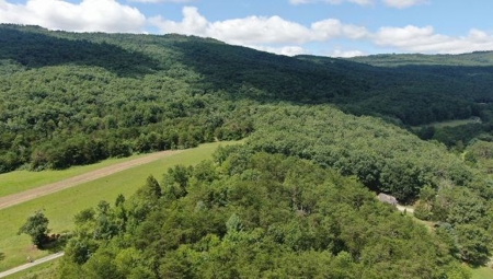 Wooded Land for Sale in Montgomery County VA - image 12
