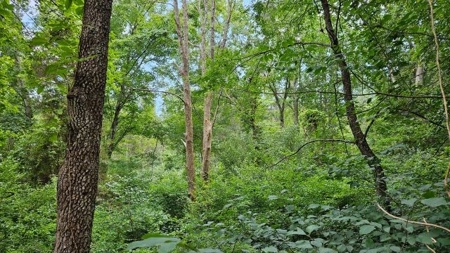 Wooded Land for Sale in Montgomery County VA - image 3