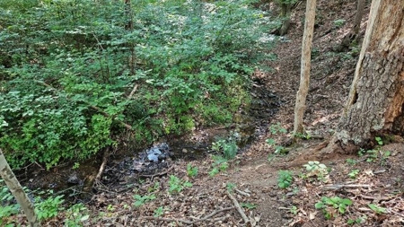 Wooded Land for Sale in Montgomery County VA - image 9