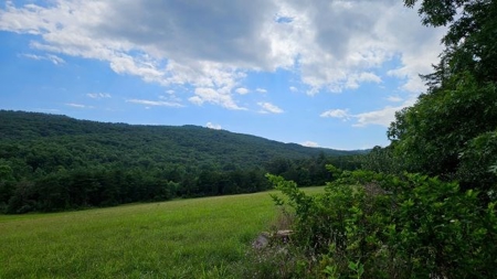 Wooded Land for Sale in Montgomery County VA - image 1