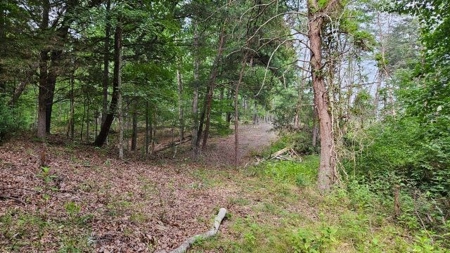 Wooded Land for Sale in Montgomery County VA - image 5