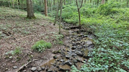 Wooded Land for Sale in Montgomery County VA - image 7