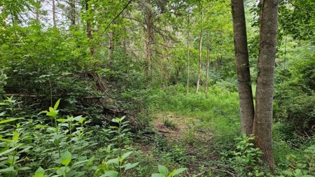Wooded Land for Sale in Montgomery County VA - image 4
