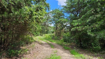 Wooded Land for Sale in Montgomery County VA - image 30