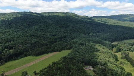 Wooded Land for Sale in Montgomery County VA - image 15