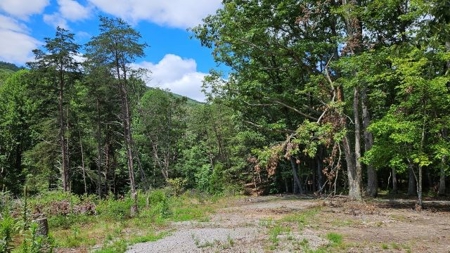 Wooded Land for Sale in Montgomery County VA - image 31