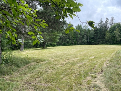Unique Downeast Home with Acreage - image 10