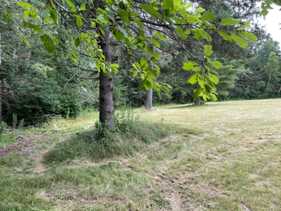 Unique Downeast Home with Acreage - image 7