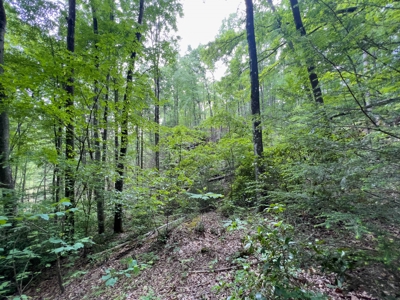 Accepted Offer in Stearns, Kentucky - image 17