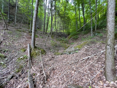 Accepted Offer in Stearns, Kentucky - image 28
