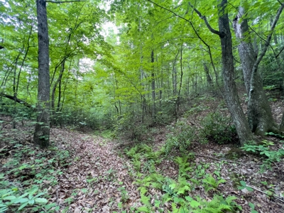 Accepted Offer in Stearns, Kentucky - image 12
