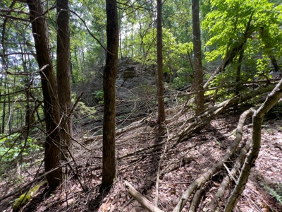 Accepted Offer in Stearns, Kentucky - image 20