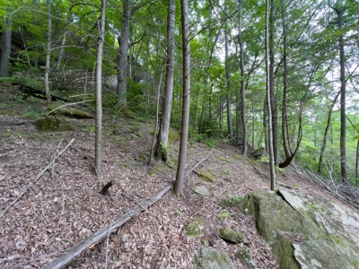 Accepted Offer in Stearns, Kentucky - image 26