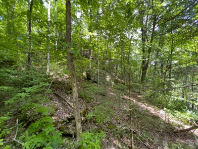 Accepted Offer in Stearns, Kentucky - image 19