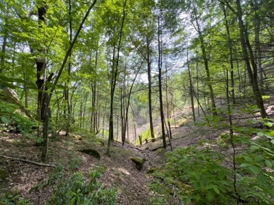 Accepted Offer in Stearns, Kentucky - image 25