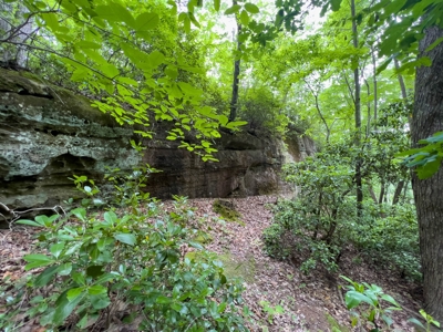 Accepted Offer in Stearns, Kentucky - image 14
