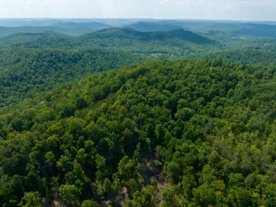 Accepted Offer in Stearns, Kentucky - image 30