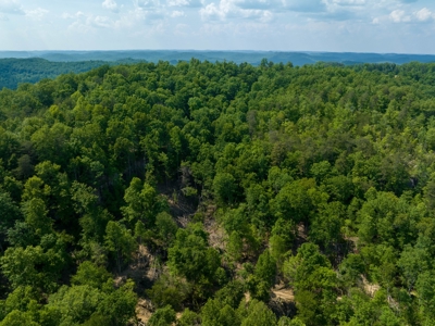 Accepted Offer in Stearns, Kentucky - image 6