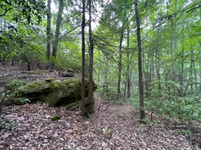 Accepted Offer in Stearns, Kentucky - image 13