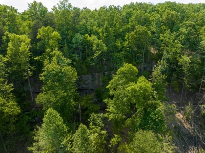 Accepted Offer in Stearns, Kentucky - image 7