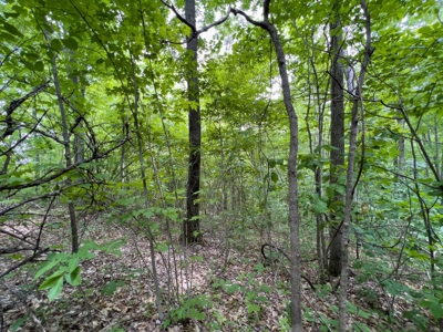 Accepted Offer in Stearns, Kentucky - image 8
