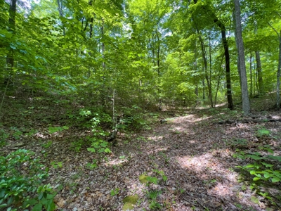 Accepted Offer in Stearns, Kentucky - image 9