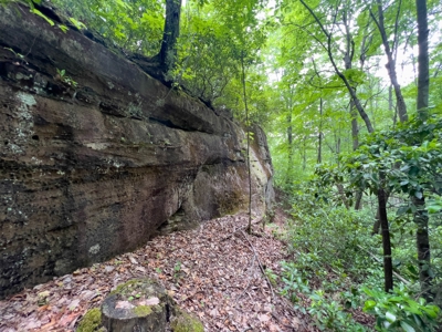 Accepted Offer in Stearns, Kentucky - image 15