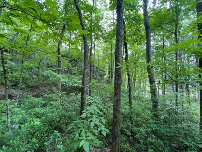 Accepted Offer in Stearns, Kentucky - image 18