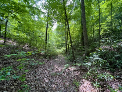 Accepted Offer in Stearns, Kentucky - image 11