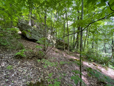 Accepted Offer in Stearns, Kentucky - image 21