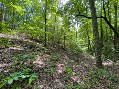 Accepted Offer in Stearns, Kentucky - image 10
