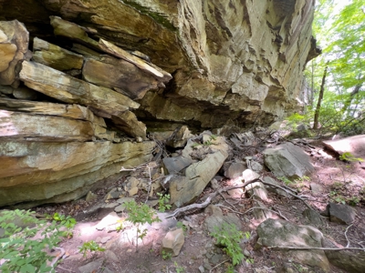 Accepted Offer in Stearns, Kentucky - image 22