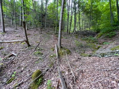 Accepted Offer in Stearns, Kentucky - image 29