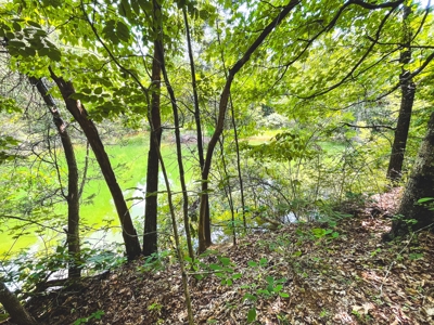 Discover Serene Living at Bridgewater Pointe, Morristown TN - image 1